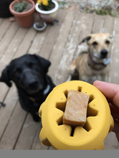 Gear eDispenser - Durable Rubber Yak Chew Holder & Treat Pocket | USA Made