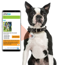 PetHub QR Pet ID Tag – Oh Crap I’m Lost