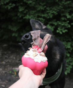 Cupcake eDispenser - Durable Rubber Chew Toy & Treat Dispenser | USA Made